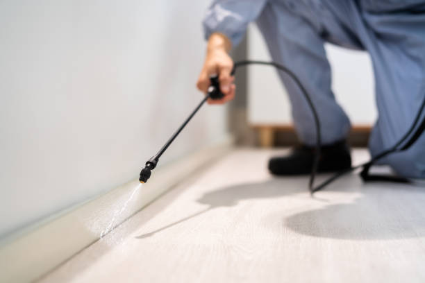 Rodent Entry Point Assessment in Westmont
