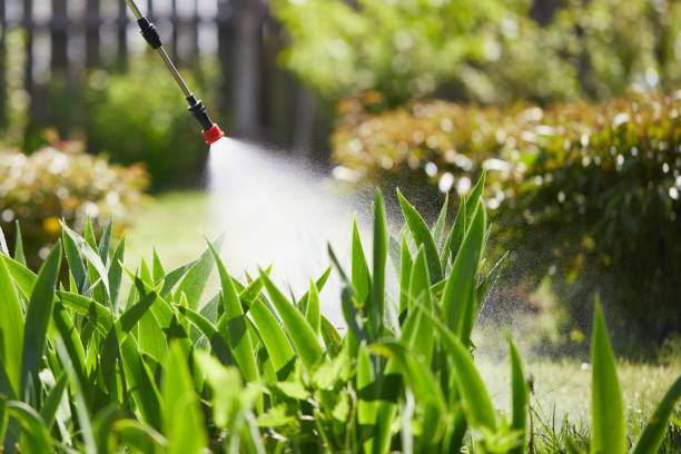 Tamper-Resistant Bait Stations for Rodents in Westmont