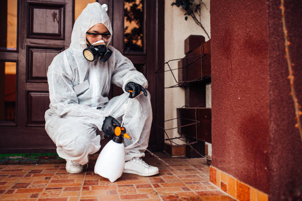 Attic and Crawl Space Rodent Treatment in Westmont